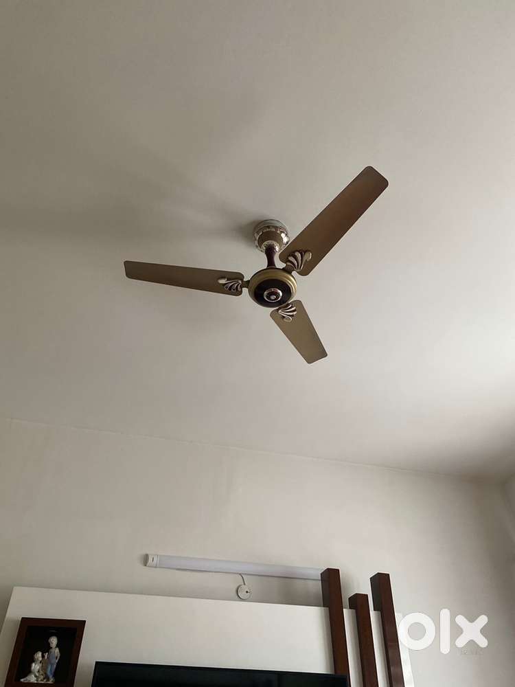 Ceiling fan