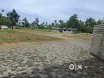 UDAYAMPEROOR KOCHUPALLY KARAPARAMBU MAIN ROED 250M DISTANCE