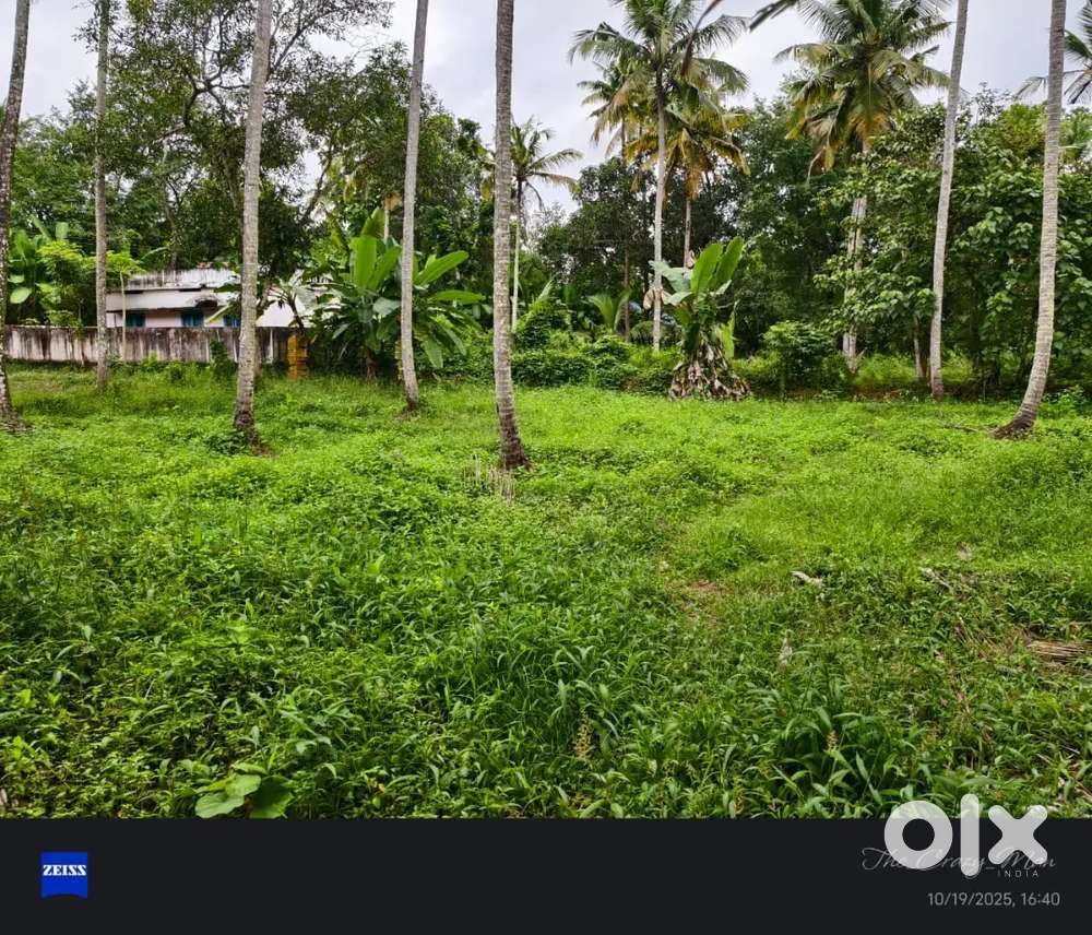 ഇലകമൺ 30 സെന്റ് വസ്തു വില്പനയ്ക്ക്.