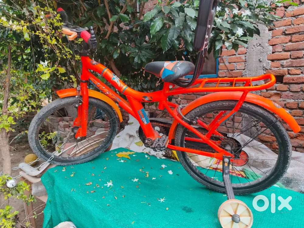 Baby cycle 5 to 10 years