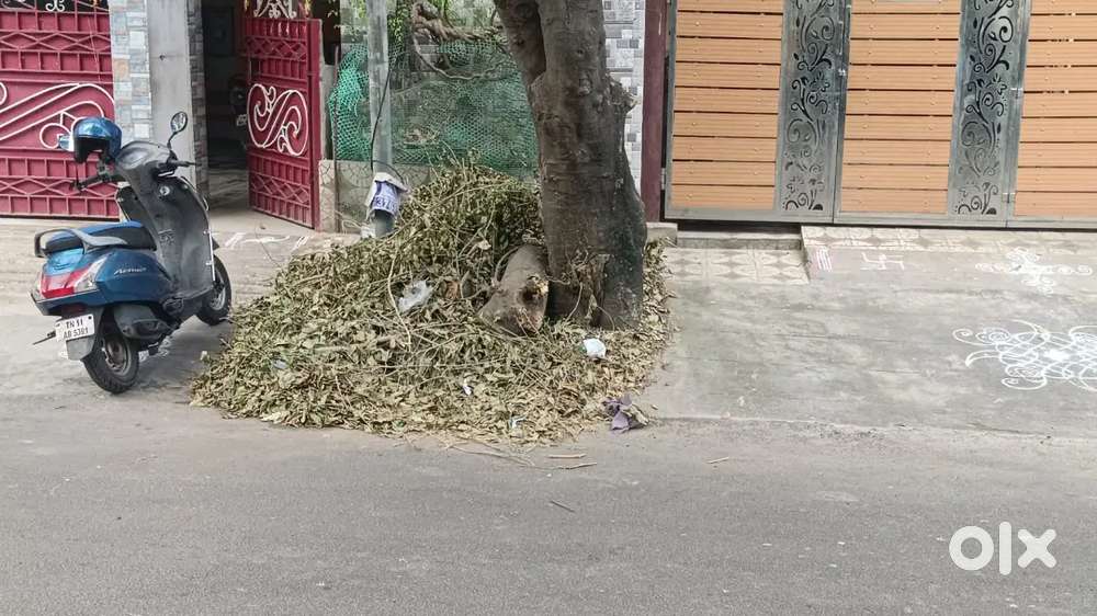 Shop  tolet 1st floor Chennai chitllapakam