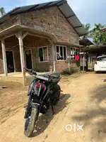 Duke 250 bs6