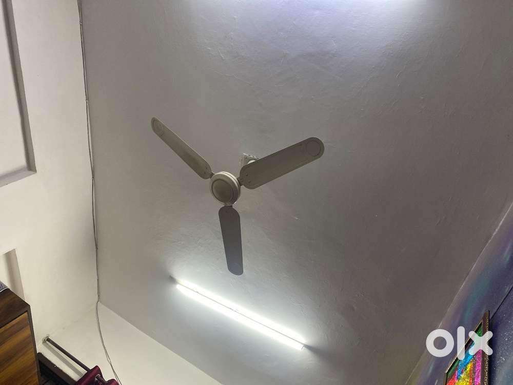 Boys flt with sharing