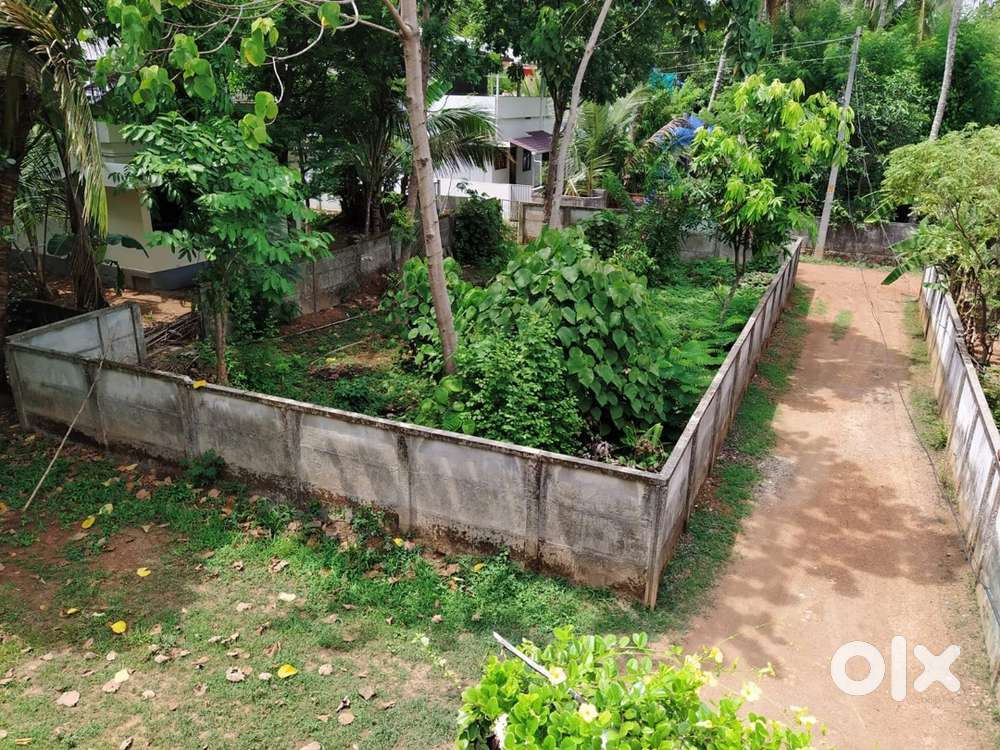 4 cents land in Vellanikkara - 2km from Mannuthy