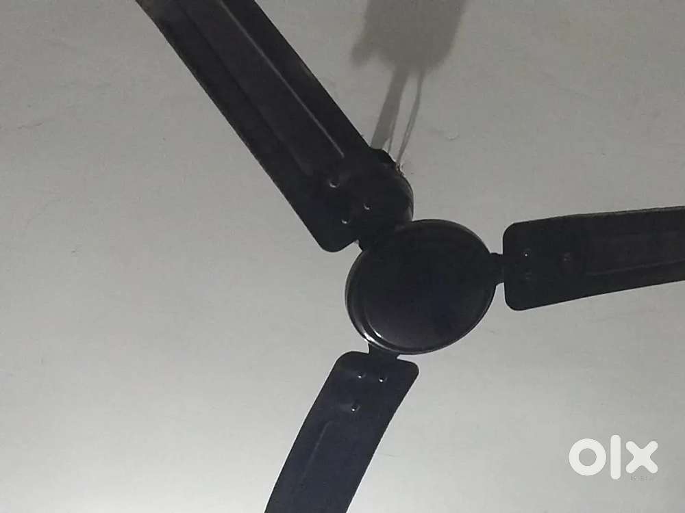 Selling fan