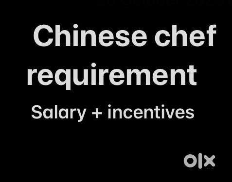 Basic chinese food chef