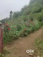 दाउदखां स्टेशन के नजदीक है,