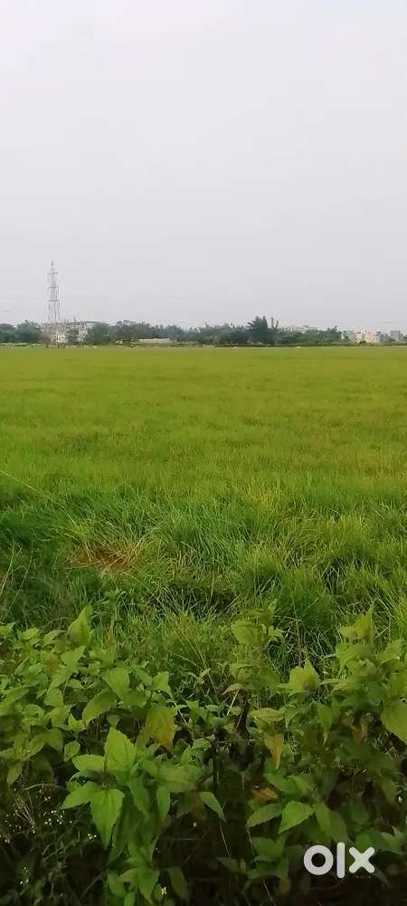 Plots sell