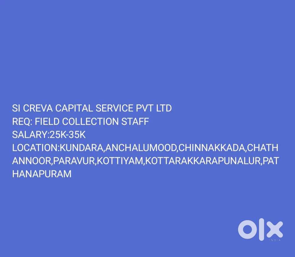 Collection executive