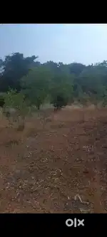 Palot Kaley station  distance 1 km