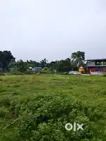 1 bigha Miyadi land for sale