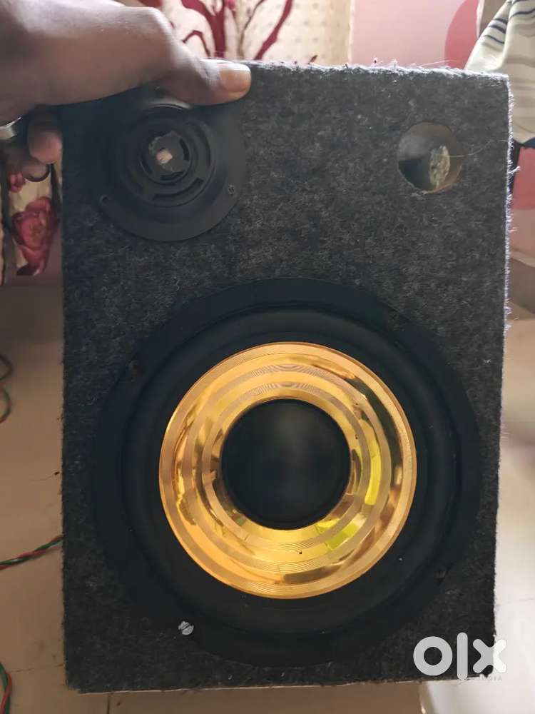 8 inch woofer(80 w 8 ohms)
