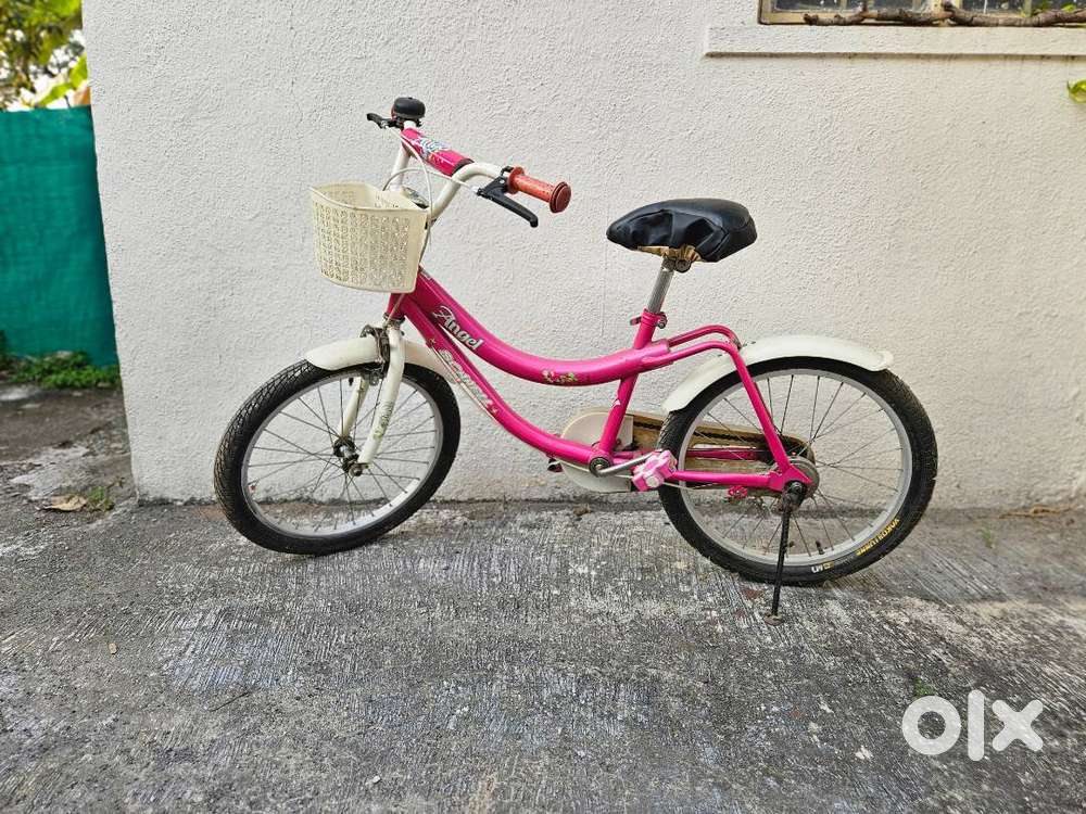 Reliable and Well-Maintained Schnell Bicycle for sell
