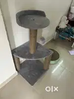 Cat play house