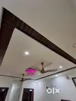 5 marla triple story kothi nicely built 38 Sec chd freehold