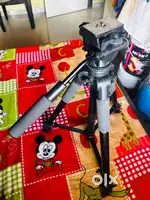 Cinematic tripod and gimbal