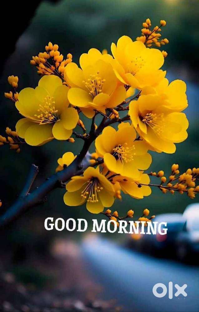 10 Cent Residential Plot for Sale