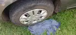 Maruti Suzuki Swift 2017 Petrol 41000 Km Driven