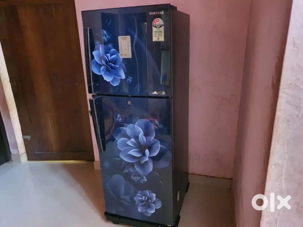 Samsung double door freezer converter inverter Fridge