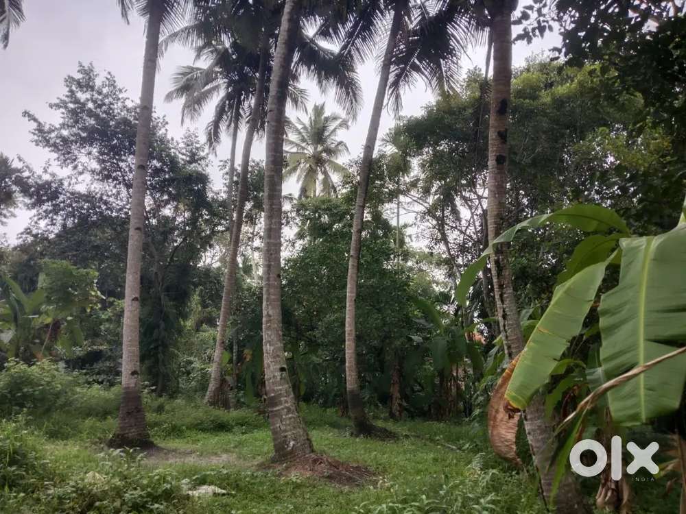 സ്ഥലം വിൽപ്പനയ്ക്ക്