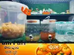 Container for Rent