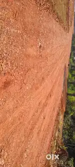 Coastal corridor