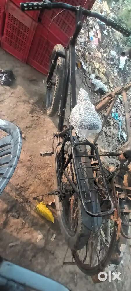 Mast Hai azamgarh me milega brahmsthan par