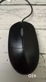 Rappov mouse