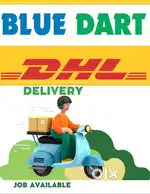 Wanted delivery boys