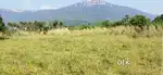 Alagar kovil land , அழகர்  கோவில்