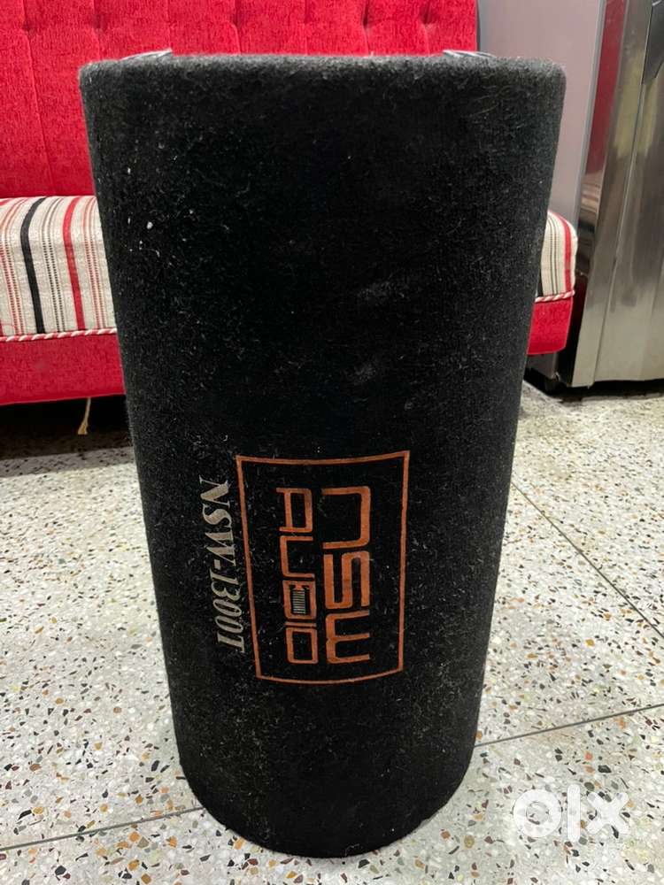 1300 watt woofer and 2 channel brazo amplifier