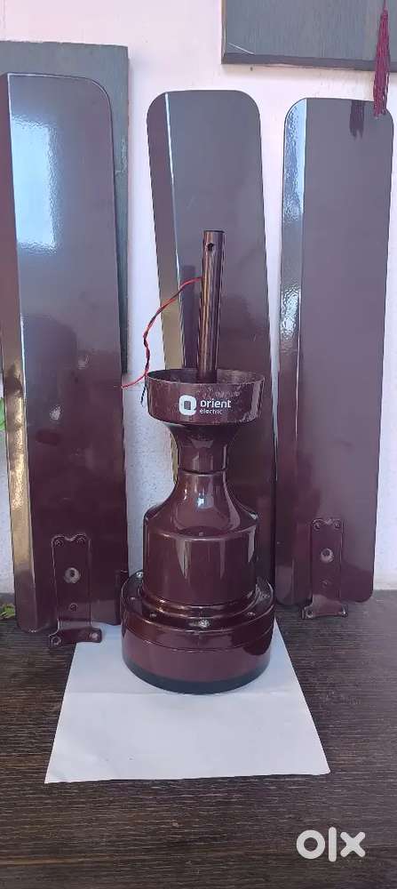 Orient Ceiling Fan New