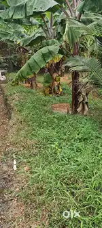 17.5cent square plot for sale