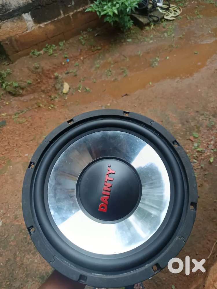 Dainty subwoofer 12 inch