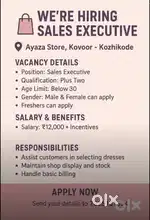 Sales executive