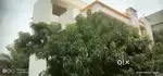 House rent 2bh