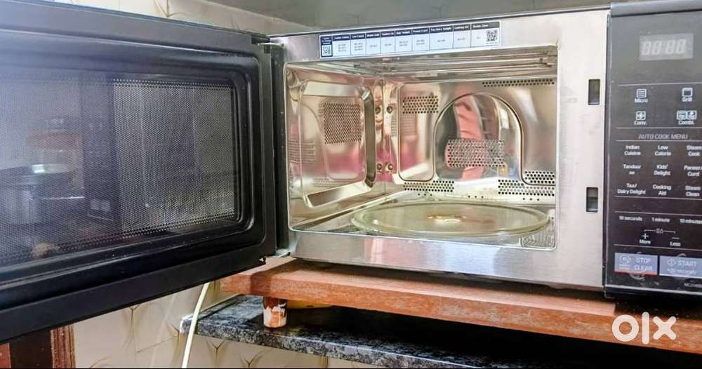 Micro Owen 2025 model