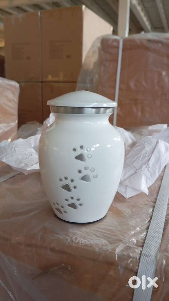 Ek ladka chaye jo packing janta ho or bhar k takade bhi karli