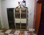 2bhk for rent
