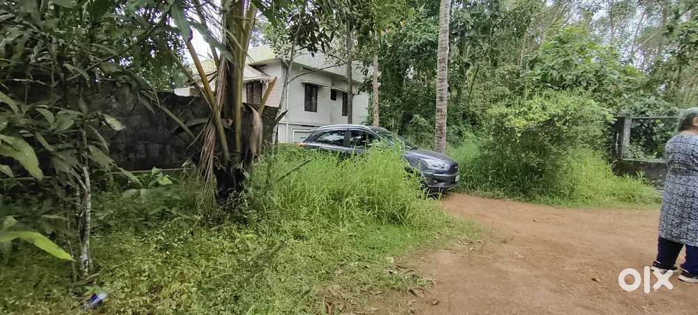 11 cent plot for sale at kakkanad near infopark navodaya