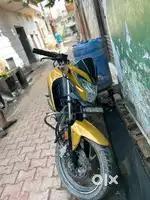 Honda Hornet