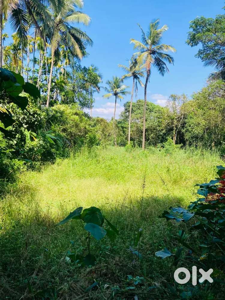 100 metre near road side