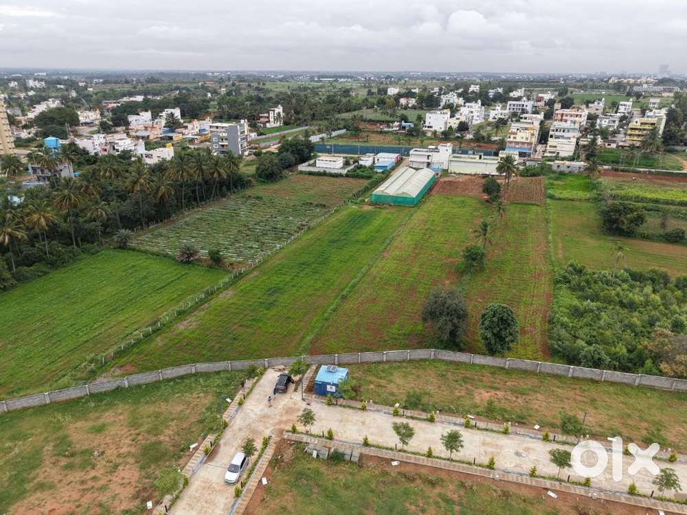 Clear title property