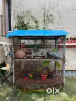 Birds cage , Cage , Pinjara