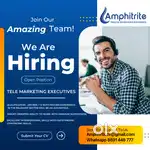 TELEMAREKTING EXECUTIVE