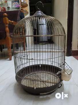 Cage birds