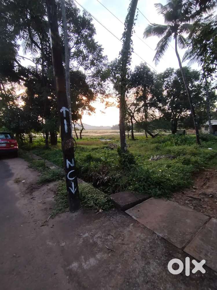 8 cent rectangular shape plot near Kottekkad church
