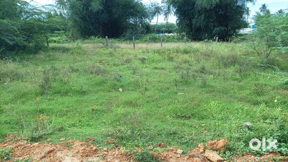 Plot sale in vannarapettai,Thanjavur