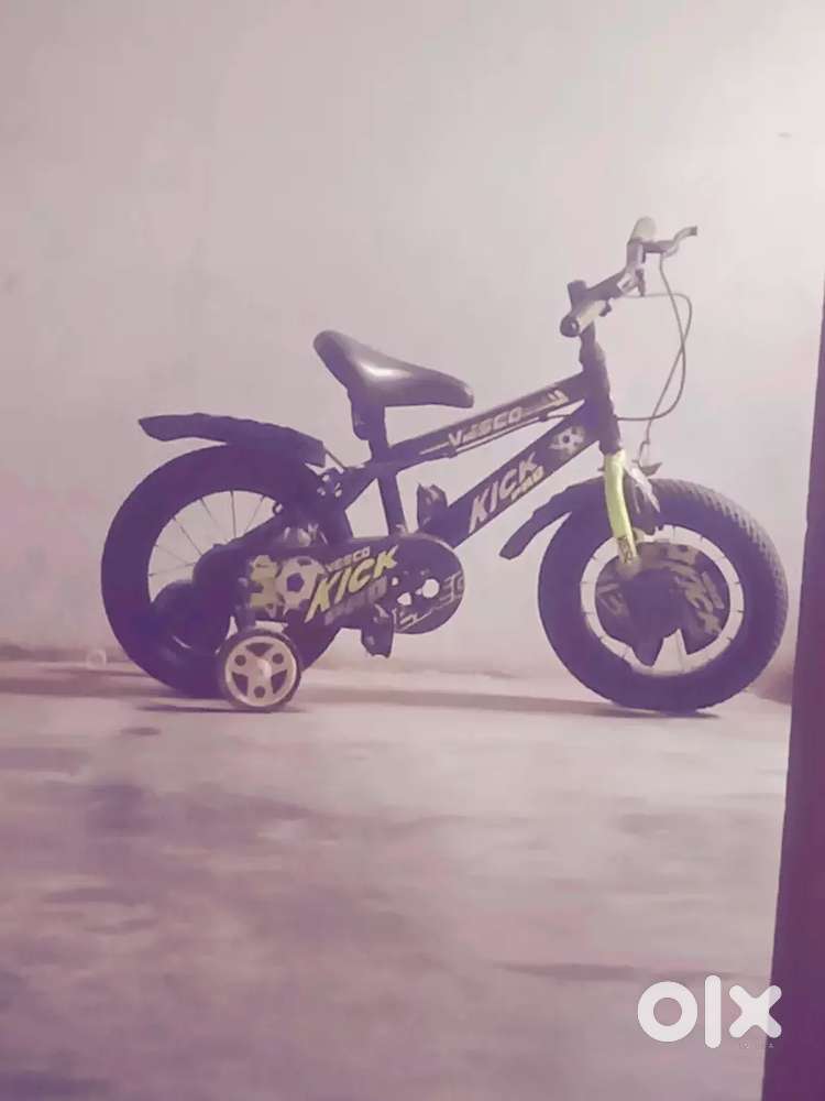 Vesco Pro cycle