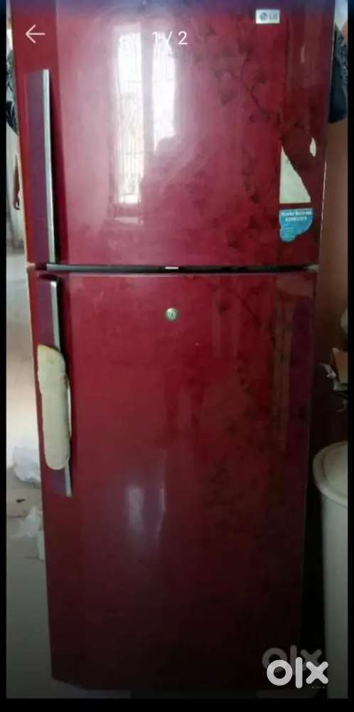 LG floral print 245 litres ,3 Star rating  fridge